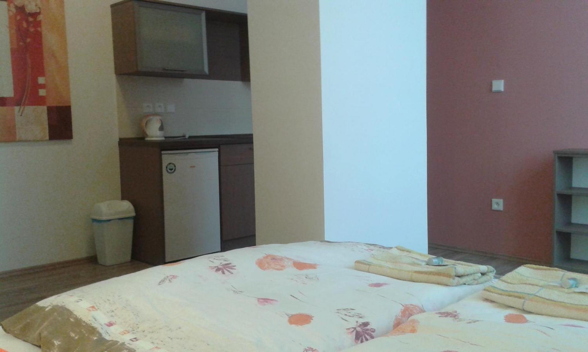 Hotel Gol Prostějov 部屋 写真