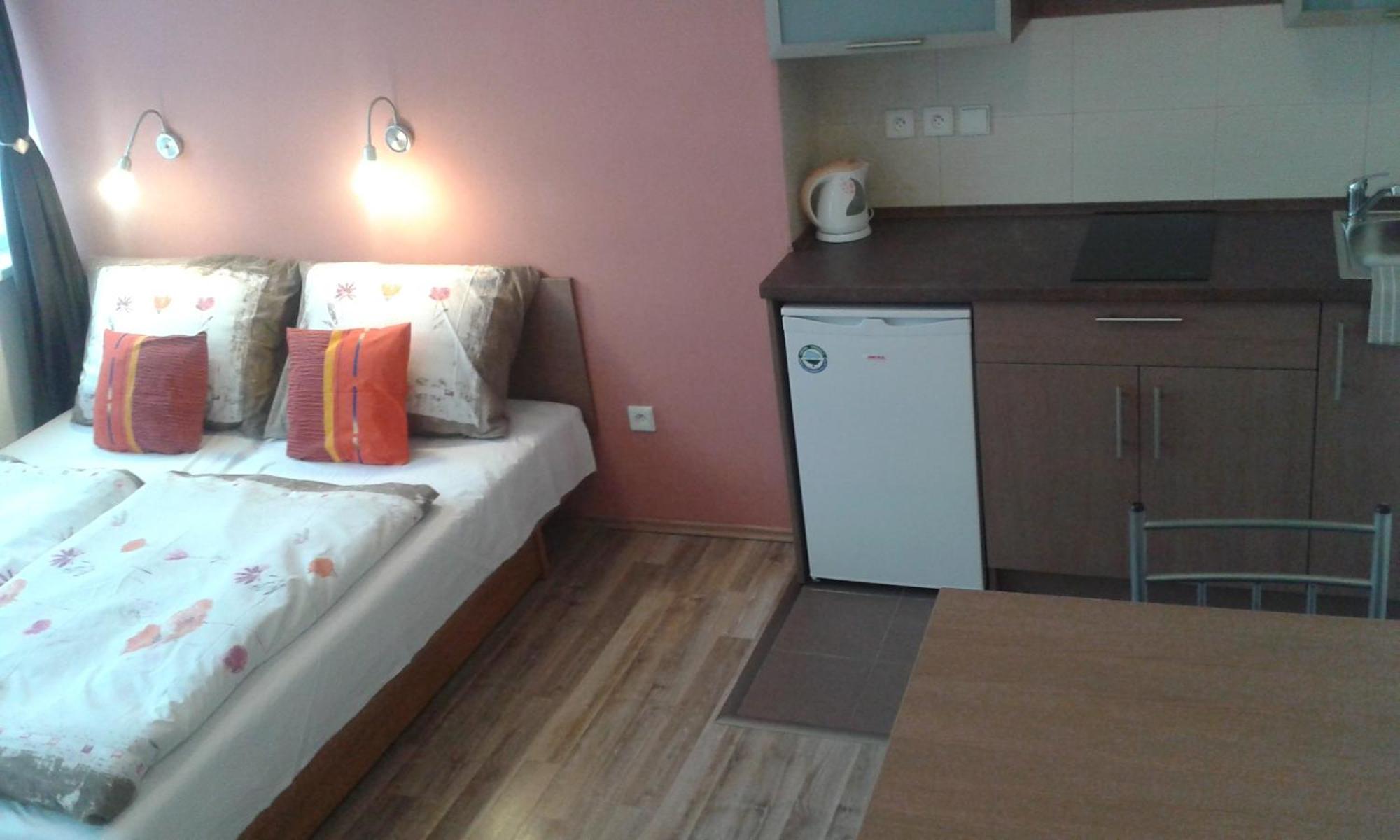 Hotel Gol Prostějov 部屋 写真