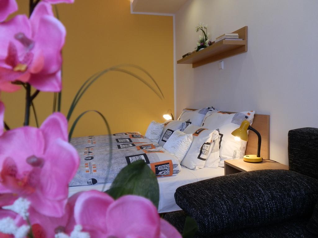 Hotel Gol Prostějov 部屋 写真