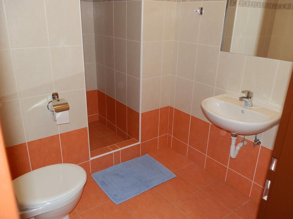 Hotel Gol Prostějov 部屋 写真